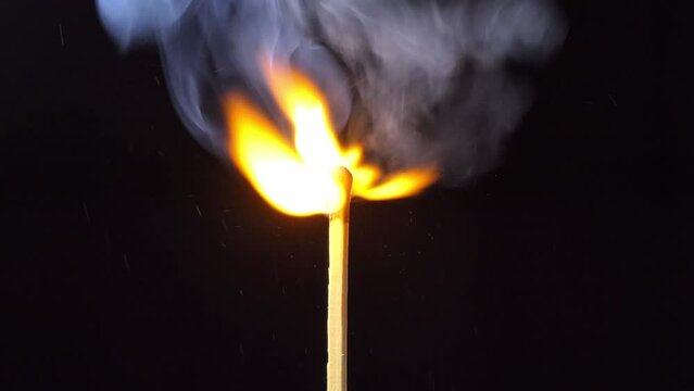 Full body shot of Match burning and combusting on black background. The match lights up, burns, and goes out. Burning match stick lights and then blown out.