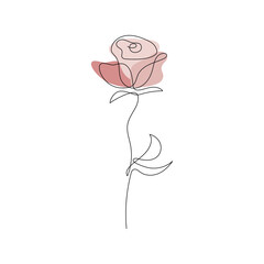 Hand drawn vector rose flower linear contour silhouette isolated on white. One line illustration. Floral design element for print, beauty branding, card, poster. Minimal contemporary drawing.