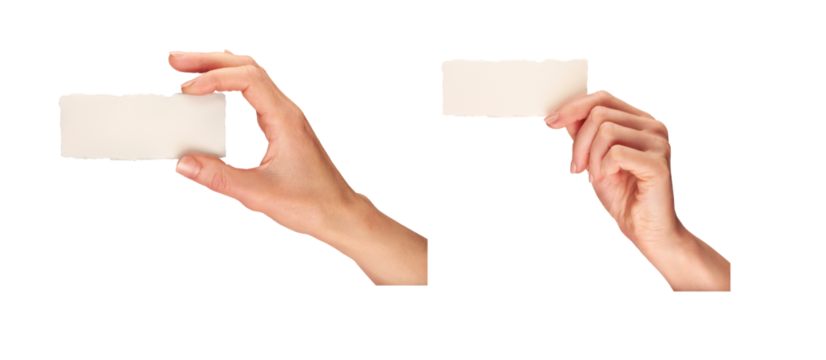 Female, women's hands, fingers and thumb, holding a business card isolated against a transparent background.