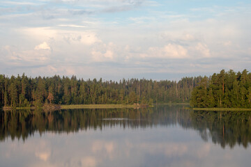 Fototapeta na wymiar forest lake in summer