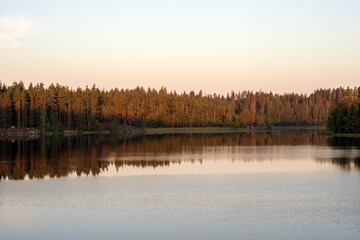 landscape on the forest lake