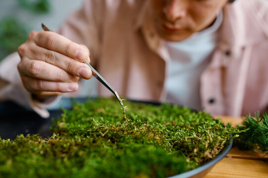 Experienced male florist working on circle plant panel closeup