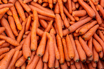 pile of carrots