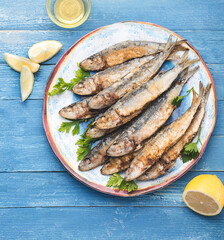 Fried sardines on a blue plate in a marine style served with lemon and olive oil, parsley. Blue wooden background, square crop
