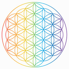Symbole de la fleur de vie aux couleurs de l'arc-en-ciel, roue énergétique de l'univers cosmique