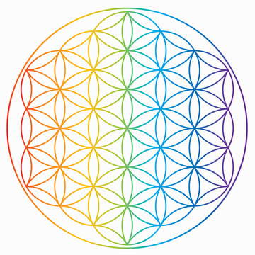 Symbole de la fleur de vie aux couleurs de l'arc-en-ciel, roue énergétique de l'univers cosmique