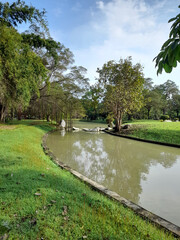 Fototapeta premium river in the park