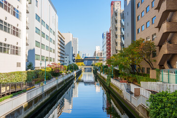 秋の始まりの田町水景