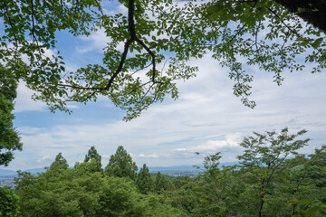 Obraz premium 初夏の春日山神社から上越市を臨む