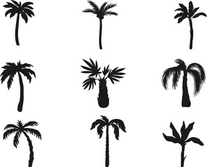 Fototapeta na wymiar Palm tree collection isolated vector Silhouette