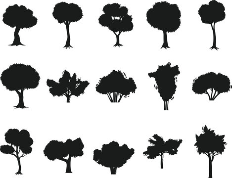 Tree silhouette Collections Set. Isolated set forest trees on white background