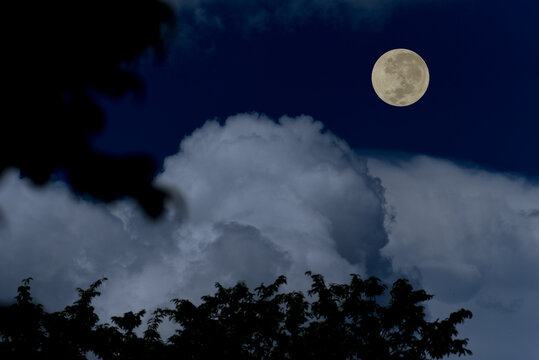 Full moon on sky with clouds and tree branch silhouette in the night.