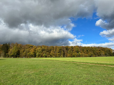 Autumn landscapes in Taunusstein