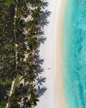 Aerial view of a beach with palm trees, Flic en Flac, Mauritius.