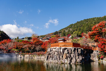 勝尾寺　弁天堂と池の紅葉