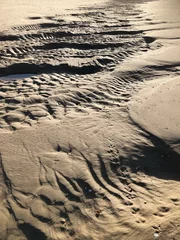 Foto op Plexiglas northsea coast, beach, julianadorp, netherlands, structures in the sand, © A