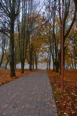 Cobblestone road in autumn park strewn with fallen yellowed foliage in foggy weather.