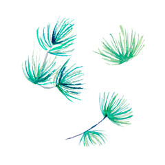 Watercolour pine needles branch isolated illustration on white background Hand painted Christmas clip art for design or print
