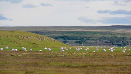 paysage sur la récolte