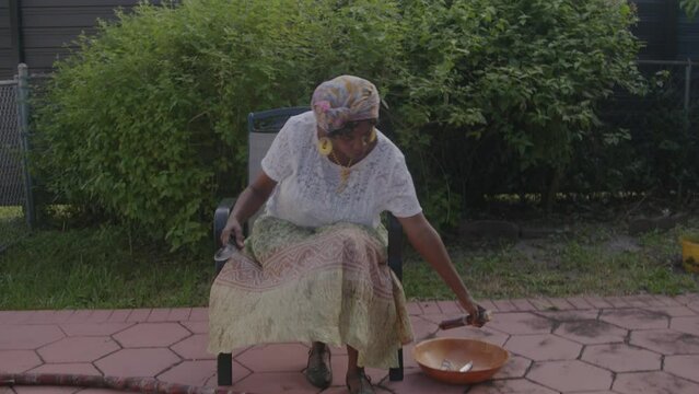 Elder woman cutting sugar cane