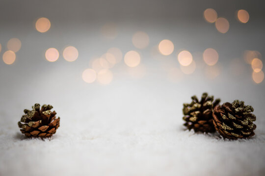 Fond studio - Noel