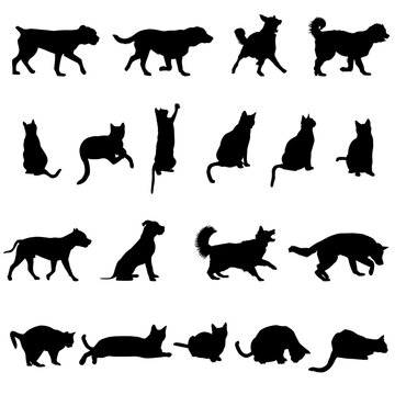 Silhouette of dogs and cats isolated on white background