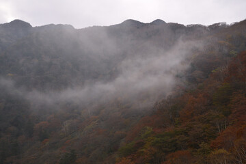 雲のかかった秋の山