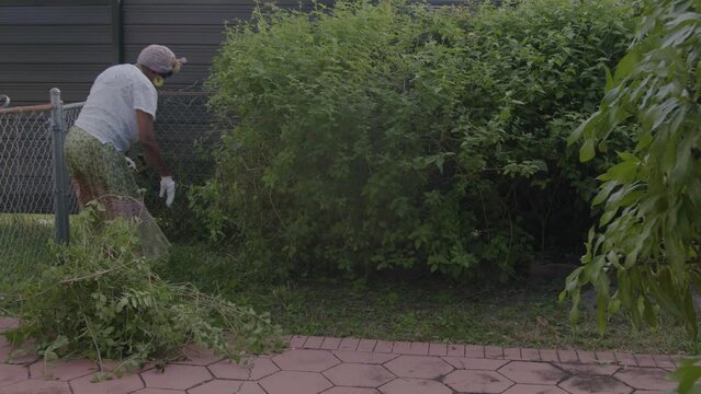 Woman in garden trimming plants