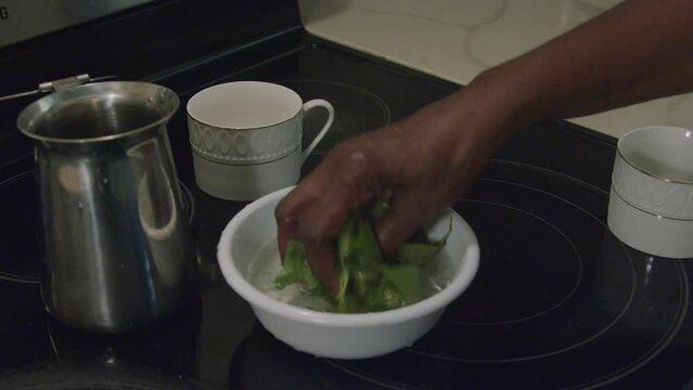 Washing herbs for tea