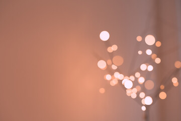 Fairy lights in warm white decoration at home, on branches, pink touch