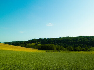 Landscape of meadow and hills in Wieżyca, Kashubian Region, Poland.