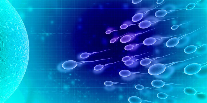 3d illustration showing sperms and egg