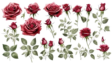 Fotobehang seamless pattern with pink roses © Bellarosa
