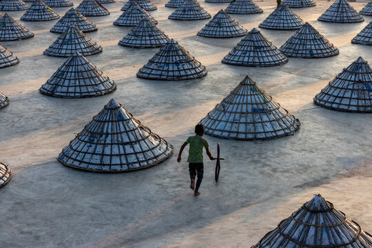 Brahmanbaria , Bangladesh - 15 August 2021: Aerial view of kids playing in a rice field in Brahmanbaria, Bangladesh.