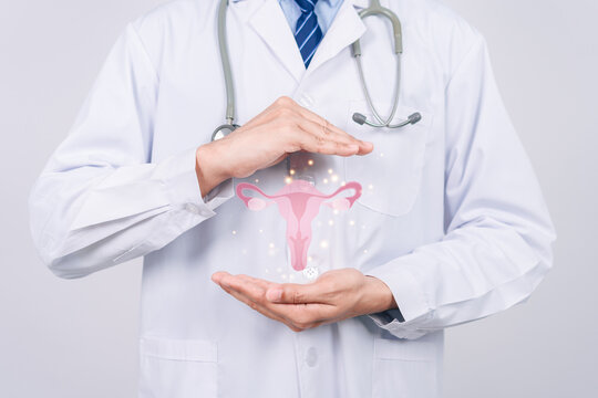doctor in a white coat holding virtual uterus reproductive system , woman health, PCOS, ovary gynecologic and cervix cancer, Healthy feminine concept
