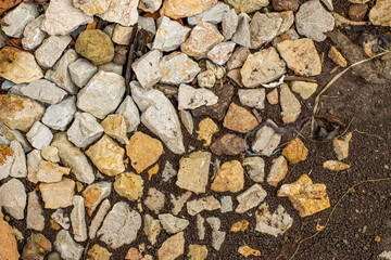 Texture of a stone path in the garden, top view