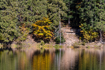 Beautiful colourful trees reflecting in calm water surface on a sunny autumn day. Vibrant landscape scene. Nature background
