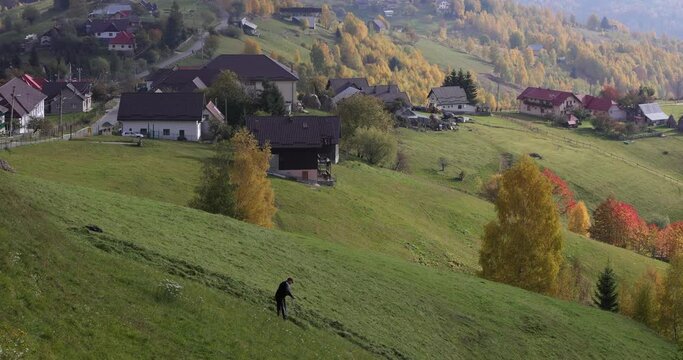 A man mows the grass on a mountains pasture on Pestera village in a beautiful day of autumn.