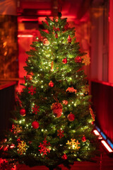 Fototapeta na wymiar Choinka 2023 - Christmass tree