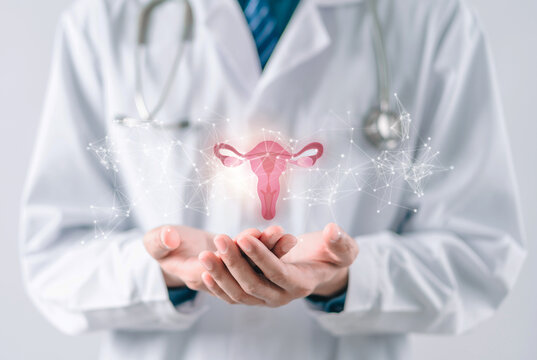 Doctor In A White Coat Holding Virtual Uterus Reproductive System , Woman Health, PCOS, Ovary Gynecologic And Cervix Cancer, Healthy Feminine Concept