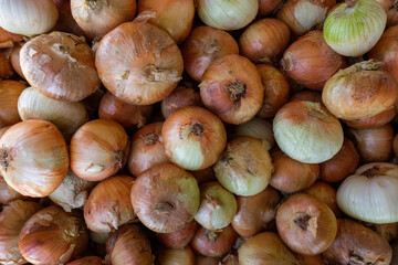 Onions for sale in Farmer's Market