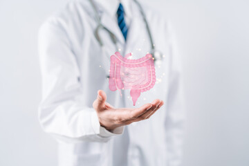doctor in a white coat hands holding stomach with intestine virtual icon, probiotics food for gut...