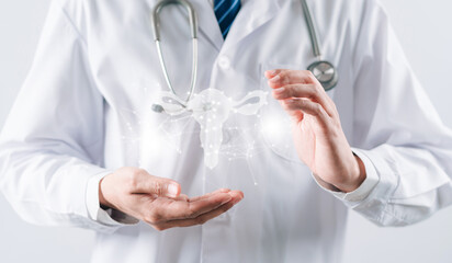 doctor in a white coat holding virtual uterus reproductive system , woman health, PCOS, ovary gynecologic and cervix cancer, Healthy feminine concept