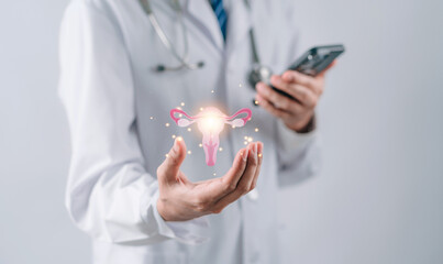 doctor in a white coat holding virtual uterus reproductive system , woman health, PCOS, ovary gynecologic and cervix cancer, Healthy feminine concept