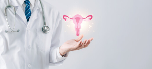doctor in a white coat holding virtual uterus reproductive system , woman health, PCOS, ovary gynecologic and cervix cancer, Healthy feminine concept