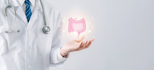 doctor in a white coat hands holding stomach with intestine virtual icon, probiotics food for gut...
