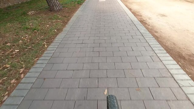 First person point of view of a cyclist riding along a bike lane in an urban park. Sustainability concept