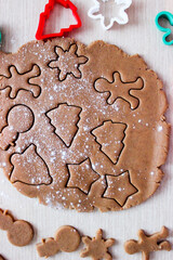 Dough for ginger cookies with Christmas molds.