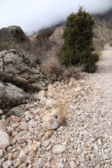 Fann mountains vertical background