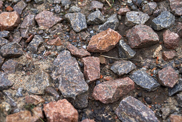 Pebbles washed with water after rain